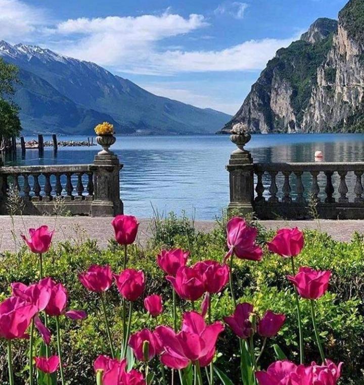 Appartamento Gioia Riva del Garda Eksteriør bilde